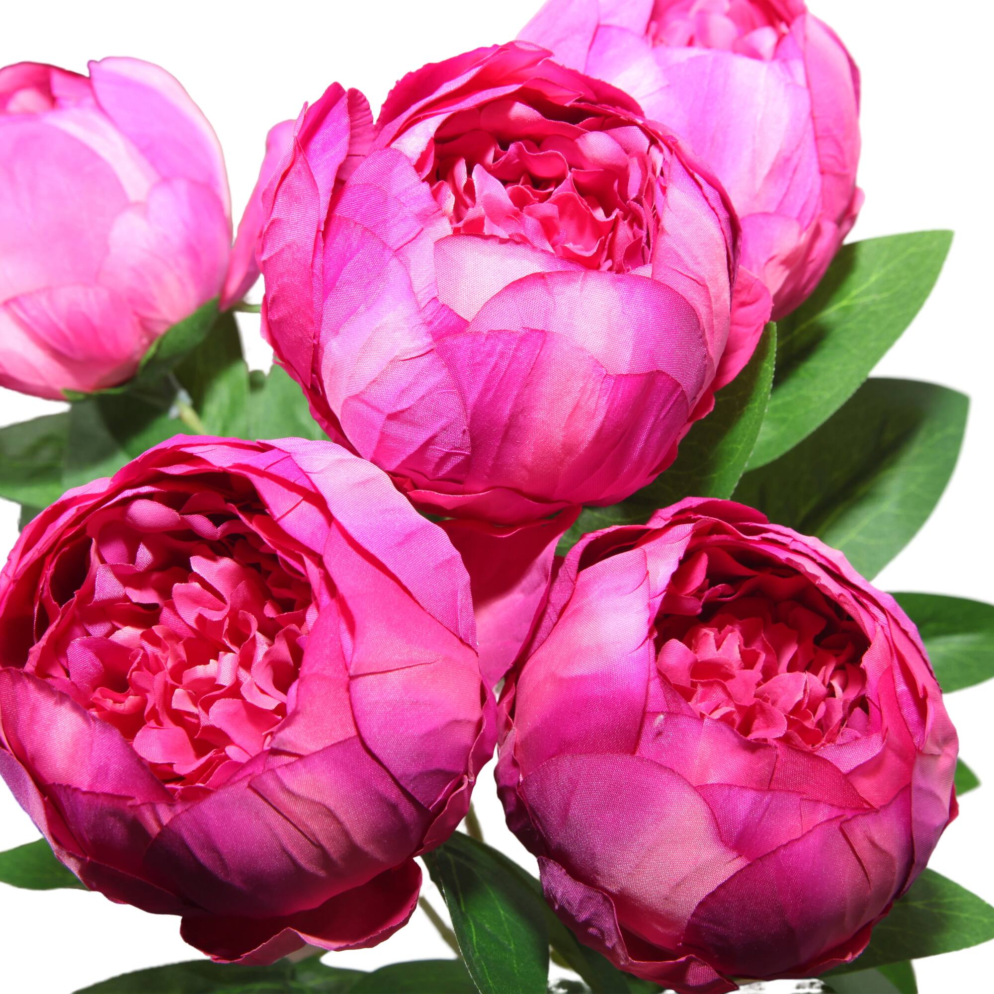 20" Dark Pink Deluxe Bush by Ashland®